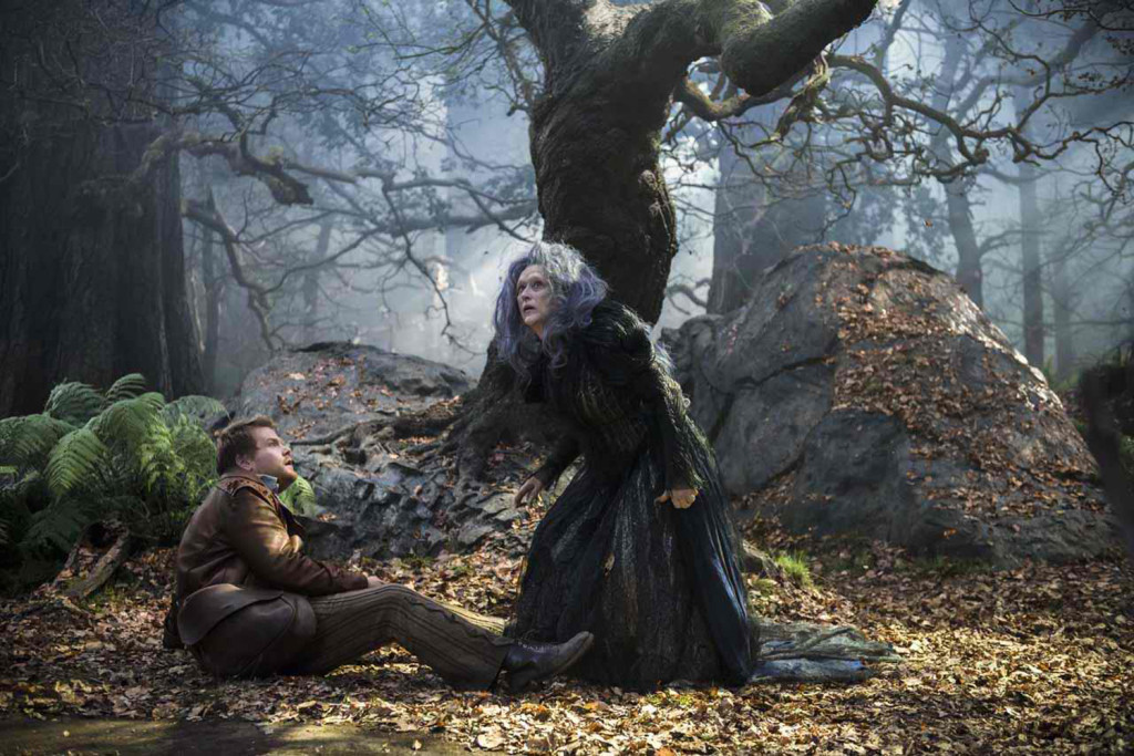 Meryl Streep Breaks Bias to Play the Witch in “Into the Woods” | ReZirb