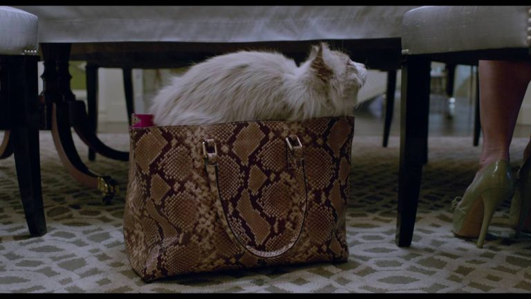 Dad Becomes Cat In Magical Family Movie “Nine Lives”